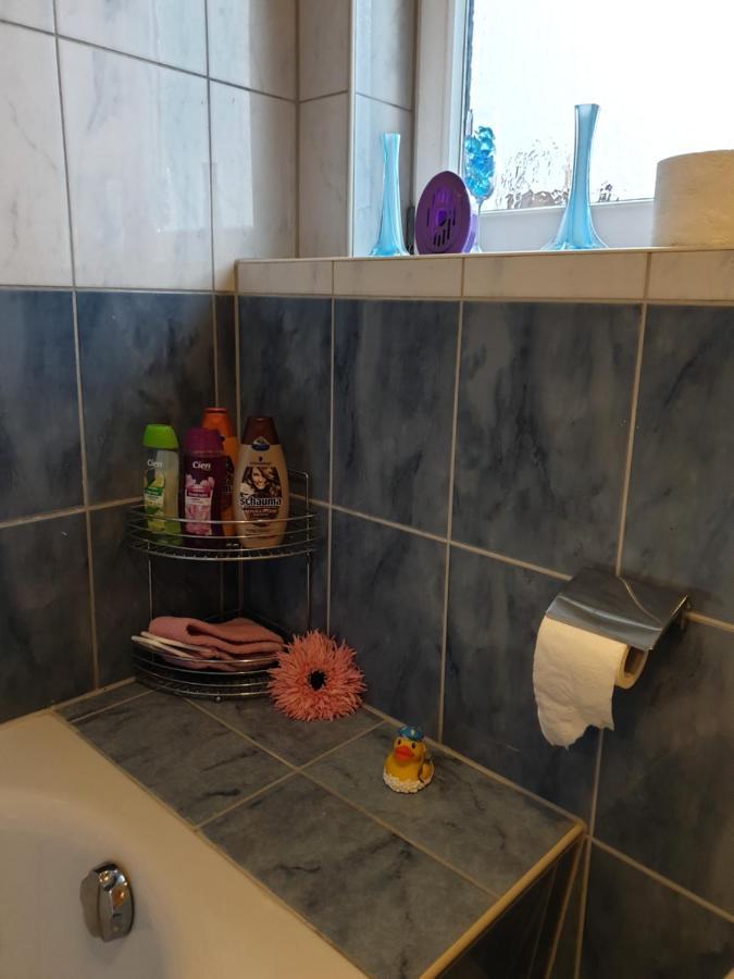 Schoene Grosse Ferienwohnung Im Mittelrheintal Nahe Loreley Bornich 외부 사진